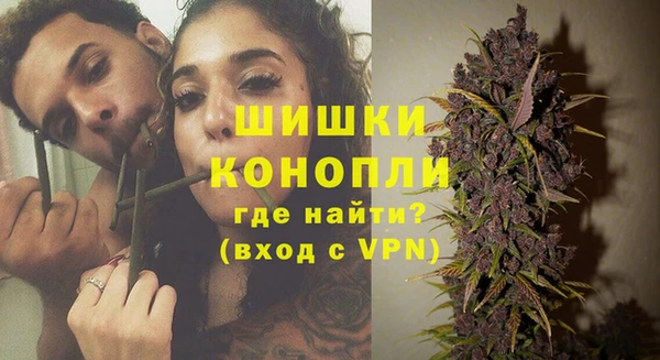 молекула духа Алзамай