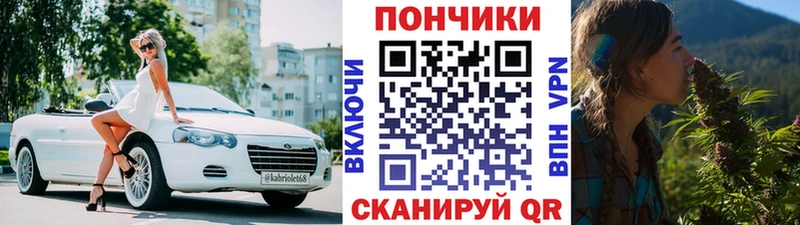 Канабис конопля  Лодейное Поле 